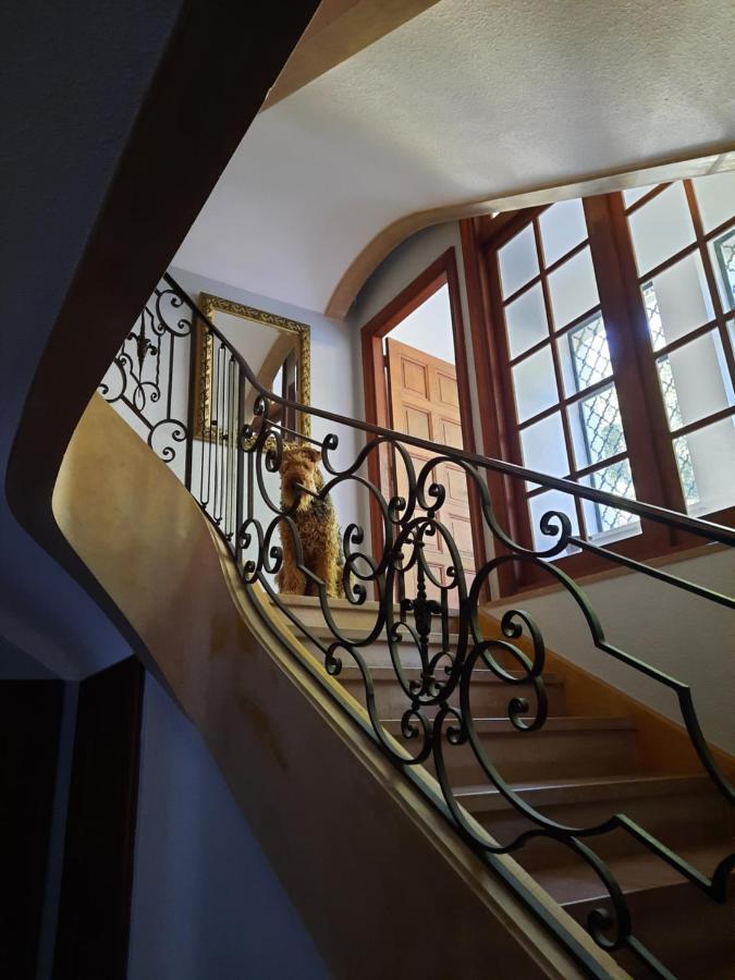 Le Clos Des Soyeux Saint-Victor-sur-Rhins Exteriör bild