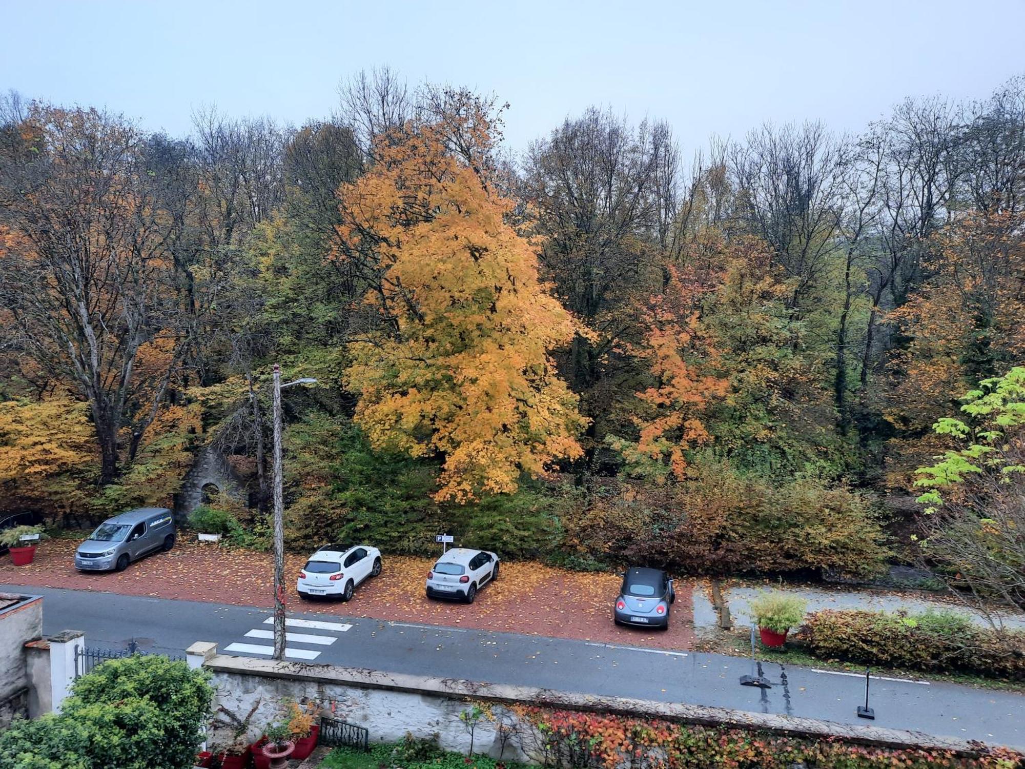 Le Clos Des Soyeux Saint-Victor-sur-Rhins Exteriör bild