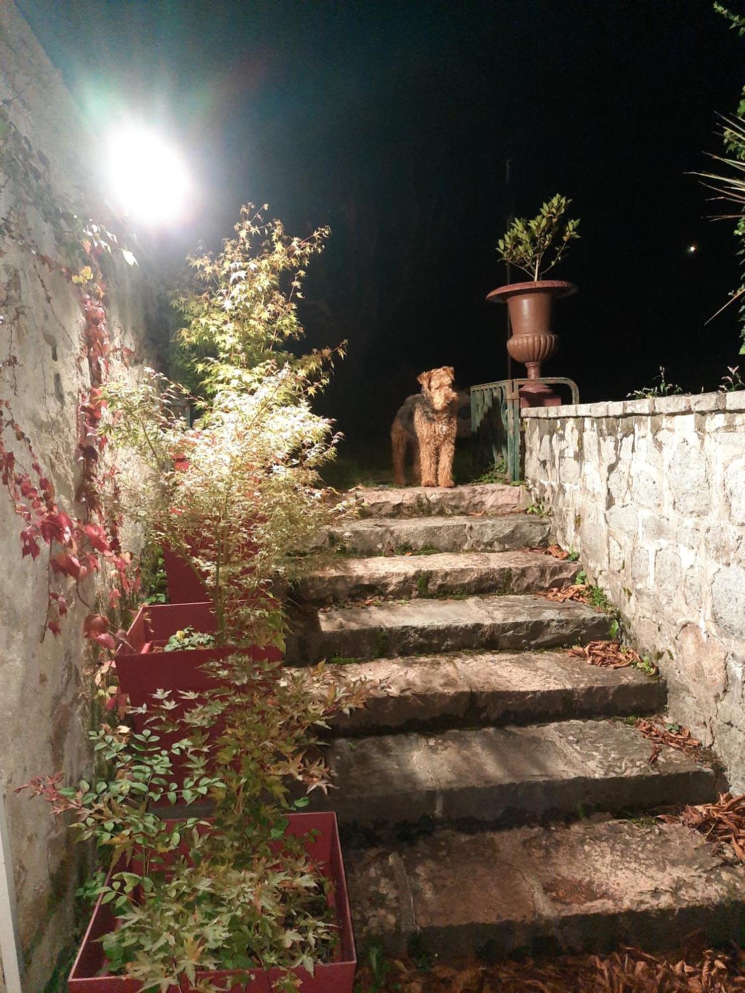 Le Clos Des Soyeux Saint-Victor-sur-Rhins Exteriör bild